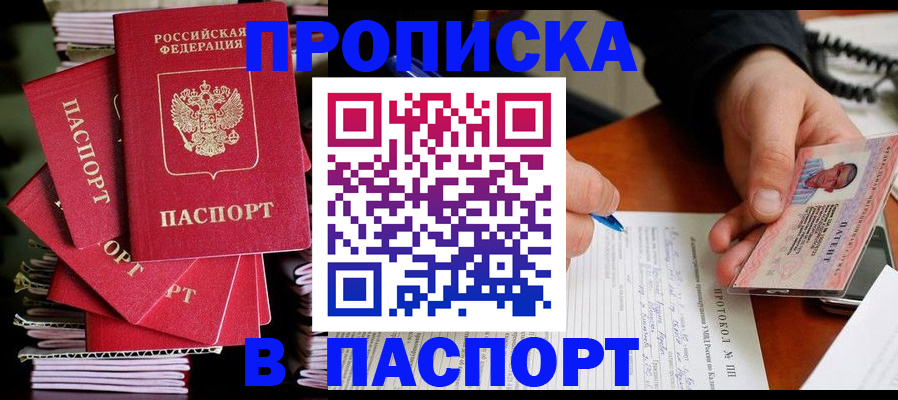 временная регистрация гарантия в Камышлове